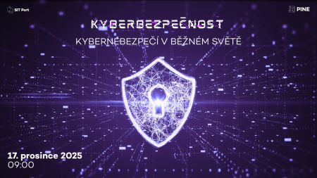 Kyberbezpečnost: kybernebezpečí v běžném světě